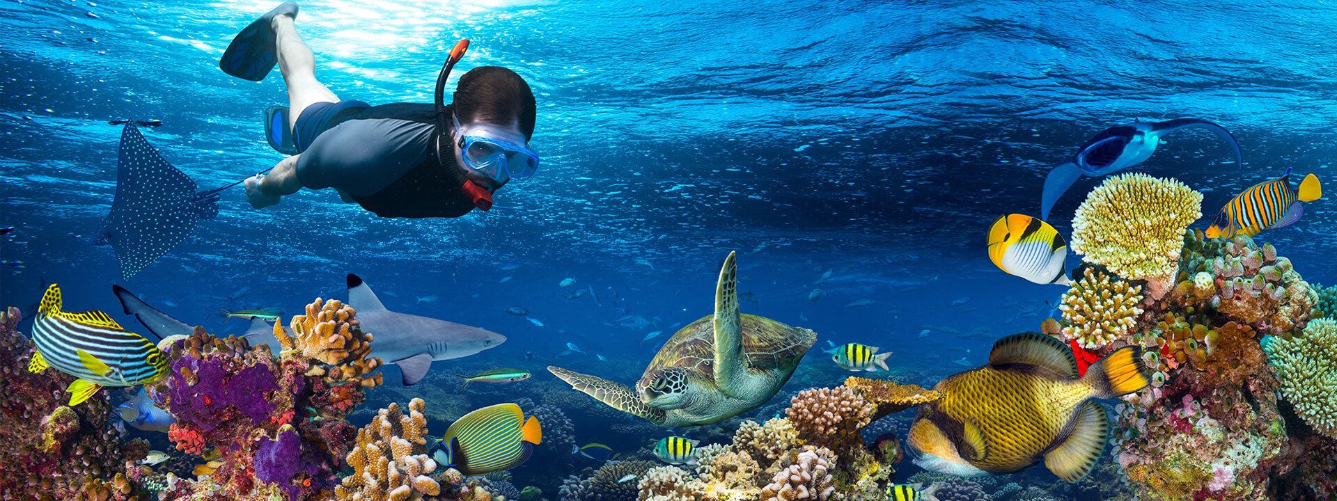 Private Tour Snorkeling in Cancun and Riviera Maya